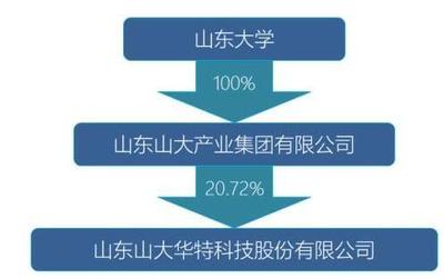 山東國投擬入主山大華特，軟件技術服務板塊迎新局