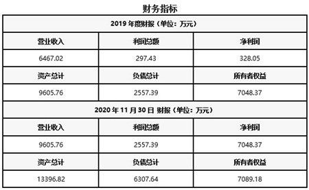 湖北光纖光柵產品技術服務公司轉讓項目020108軟件技術服務業務分析